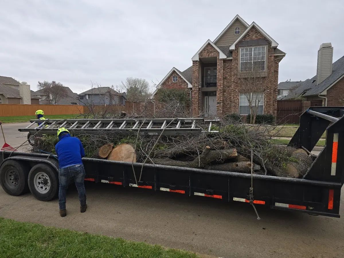 Expert Crown Reduction with proper safety equipment in Vicksburg